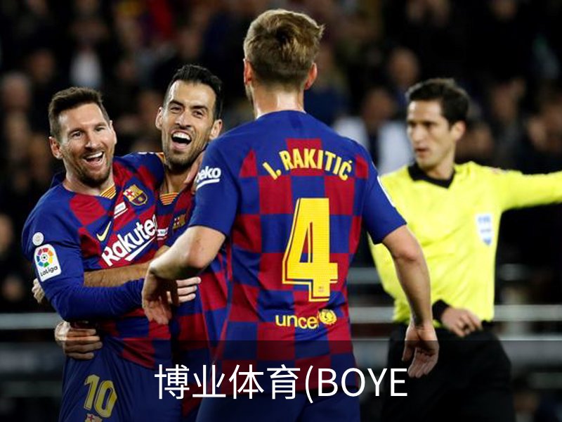 博业体育(BOYE概况